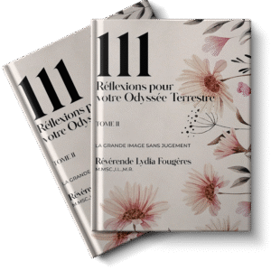 Réflexions pour votre Odyssée Terrestre : Tome II (French Edition)