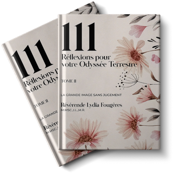 Réflexions pour votre Odyssée Terrestre : Tome II (French Edition)