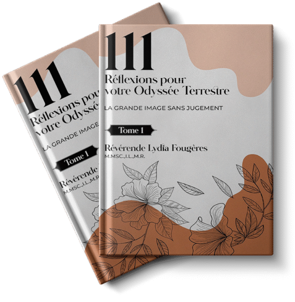 111 Réflexions pour votre Odyssée Terrestre: Tome I (French Edition)